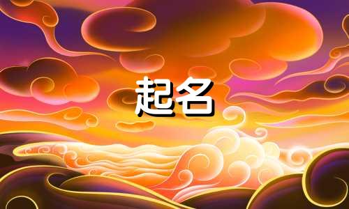 起名子大师软件有哪些