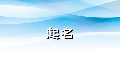 公司起名小插件有哪些