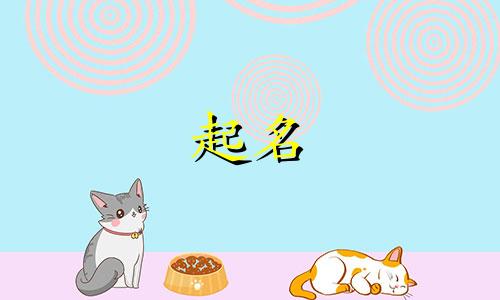 起名成功女孩名字有哪些