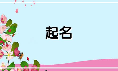 哈尔滨宝宝起名店铺有哪些