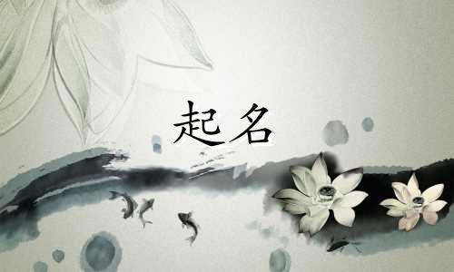 另类的起名大师有哪些