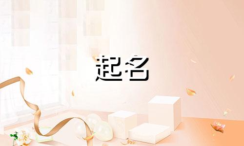 公司起名涵盖哪些信息要求