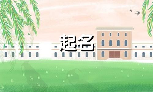 起名软件程序有哪些好用