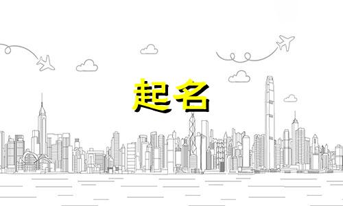 网络起名策略有哪些书本