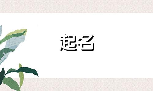 芙蓉相关的起名有哪些