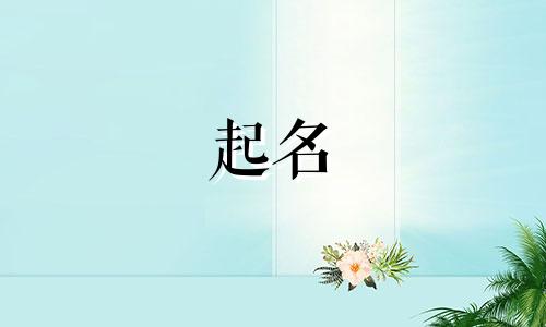 起名接单平台有哪些好听