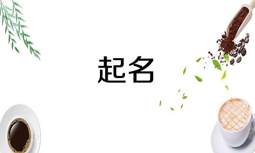 起名女孩名有哪些名字