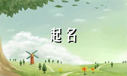 男孩起名的词汇有哪些