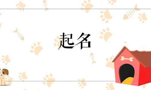 起名社交软件有哪些好听