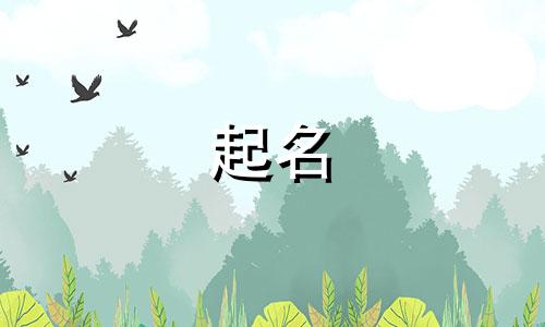 起名规则法规有哪些字体