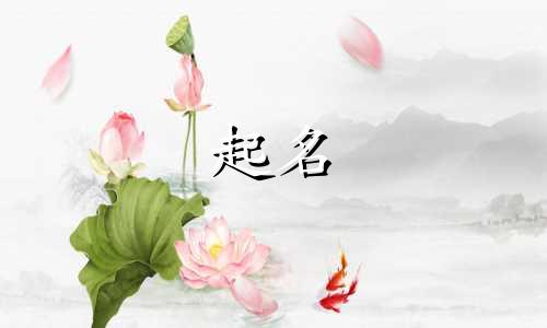 宠物起名道具有哪些名字