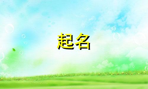 起名直播工具有哪些呢