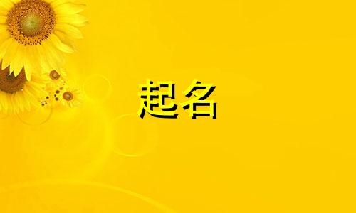 石头的形状起名有哪些