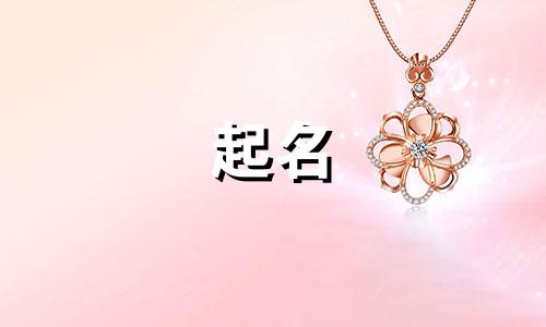 安庆个人起名公司有哪些