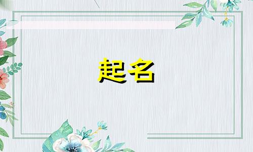 图文广告起名软件有哪些