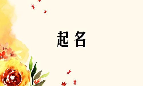 韩语名字起名软件有哪些