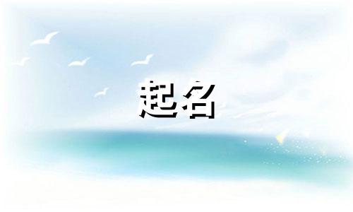 滨州商标起名公司有哪些