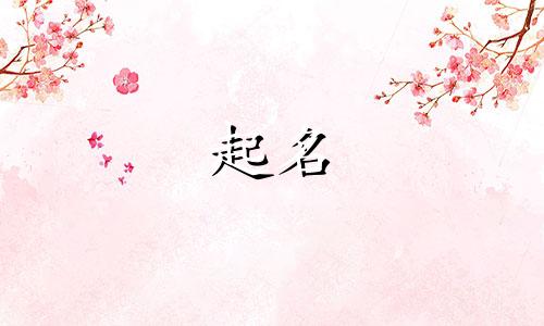 哈尔滨起名店有哪些店