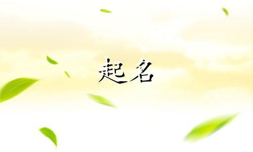 女孩用哪些字起名大气