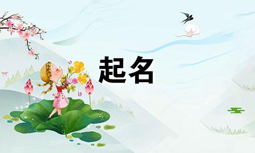 智能公司起名工具有哪些
