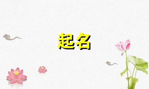 品牌起名内衣有哪些公司