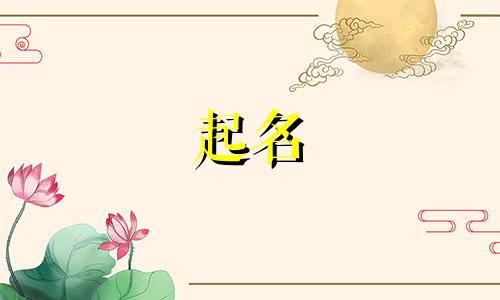 水下摄影的起名有哪些