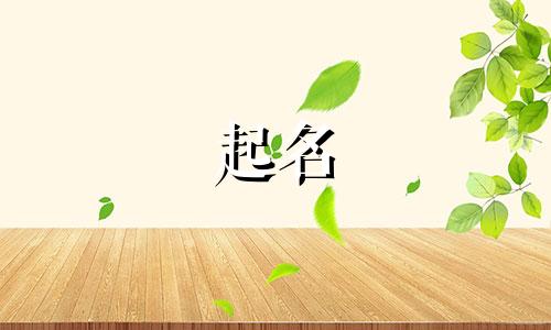 滤芯好品牌起名有哪些