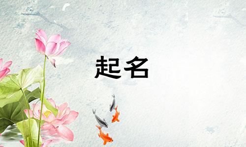 门店起名限用字有哪些