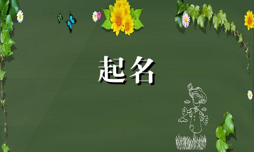 布料起名规律有哪些类型