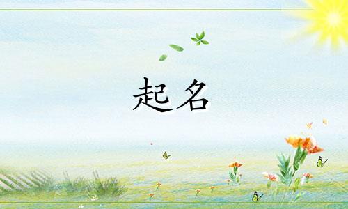 酒馆起名元素有哪些好听