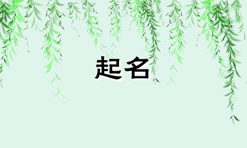 起名好看的格式有哪些