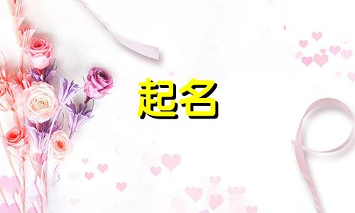 随便起名的明星都有哪些