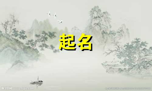 王者起名特殊字有哪些