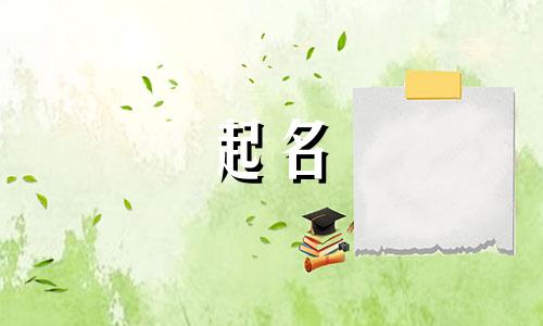 起名有哪些好用的软件