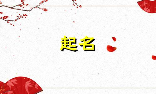 广州起名app软件有哪些