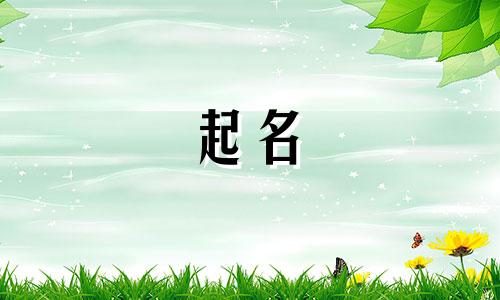 绥化新公司起名有哪些