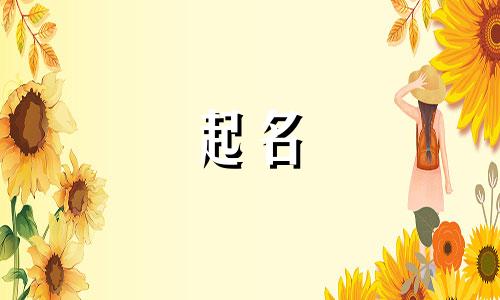 起名搞笑软件有哪些名字