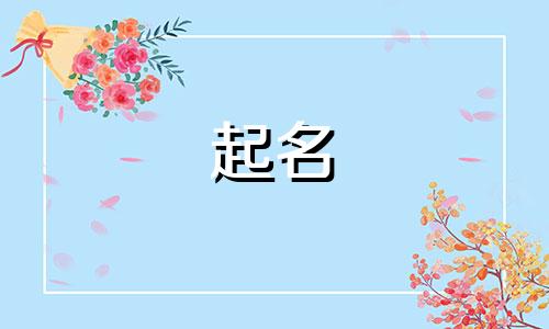 公司起名的步骤有哪些