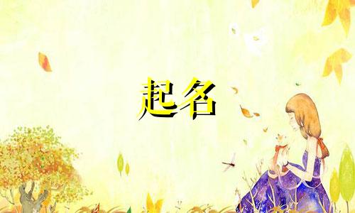 中文起名工具有哪些字样