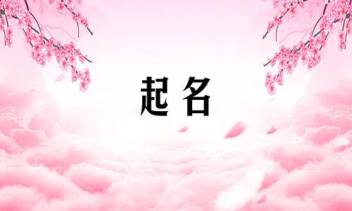 起名的经典书籍有哪些