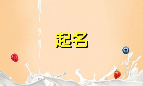 品牌起名筛选软件有哪些