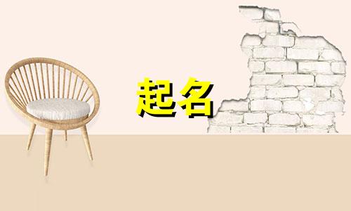 催收公司起名方式有哪些