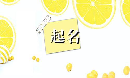 企业起名的阶段有哪些