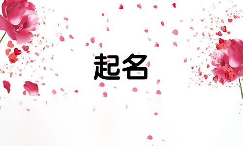 孩子起名的流程有哪些