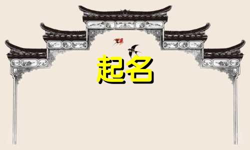 动物起名技巧有哪些方法