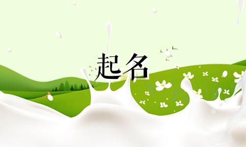 起名都有哪些好的文字