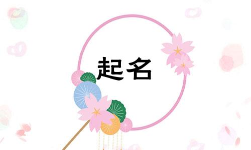 孩子起名需要看哪些书籍