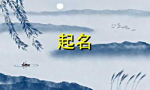 猫咪起名的段子有哪些