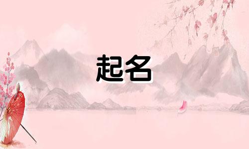 雷州地方特产起名有哪些