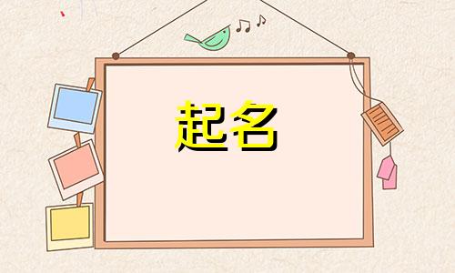 起名谐音外号有哪些字体